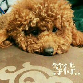 啃小兔🐰🐰主播照片