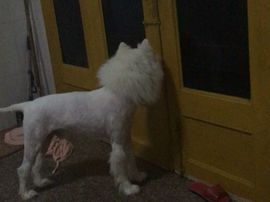 乐文就爱扯淡主播照片