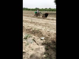 一秒钟の记忆主播照片