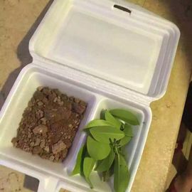 小小凡🎤（8点播）主播照片