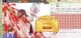 ～追寻主播照片