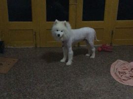 乐文就爱扯淡主播照片