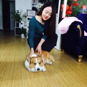 微信_3568815