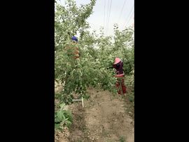一秒钟の记忆主播照片
