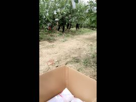 一秒钟の记忆主播照片