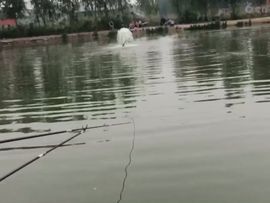 🚩风景🚩主播照片