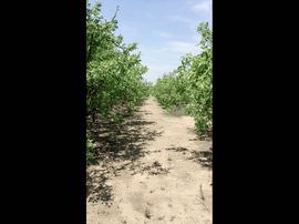 一秒钟の记忆主播照片
