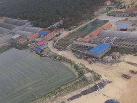 🚩风景🚩主播照片