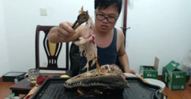 習慣有妮主播照片