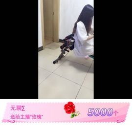 橙子江湖再见啦！主播照片