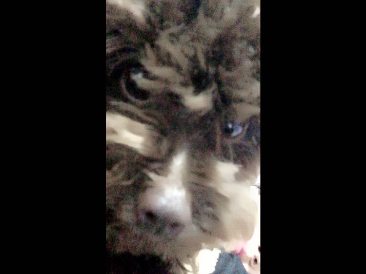 澤鸅䰹主播照片