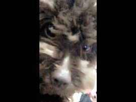 澤鸅䰹主播照片