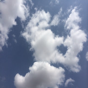 斌斌樂樂