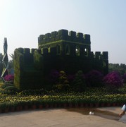 微信_3927634