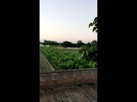 一秒钟の记忆主播照片