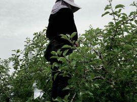一秒钟の记忆主播照片