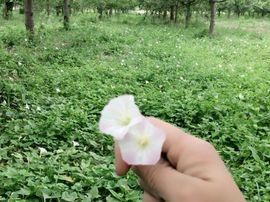 一秒钟の记忆主播照片