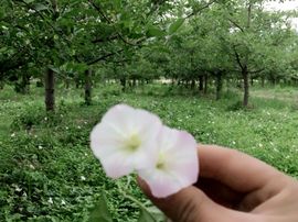 一秒钟の记忆主播照片