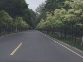 🚩风景🚩主播照片