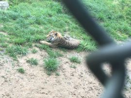 冬寒飞雪、主播照片