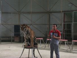 冬寒飞雪、主播照片