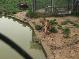 冬寒飞雪、主播照片