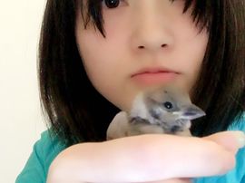 九❤。主播照片