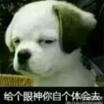 ◑▂小西瓜▂◐的头像