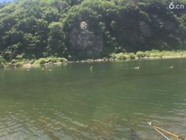 🚩风景🚩主播照片