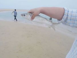 🚩风景🚩主播照片