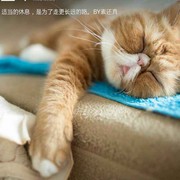 微信_4978189