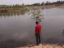 🚩风景🚩主播照片
