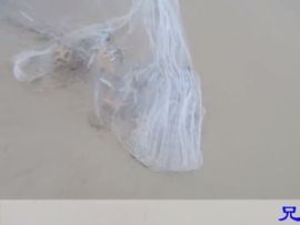 🚩风景🚩主播照片