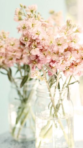 🎵小邓丽君🌺溪儿主播照片