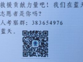 泓一户外主播照片