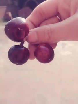 ☞雪儿♞930☜主播照片