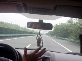 指尖的情谊主播照片
