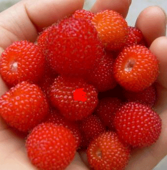 夏天6$4的主播照片