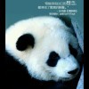 幸运接收员