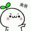 三好学生来撩妹