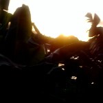 『吴奇』