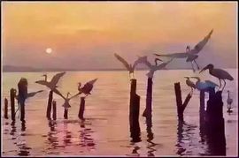 墨遥🎤不回来啦主播照片