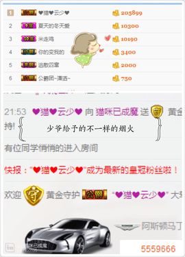 ❤猫咪❤落幕🍂❤主播照片