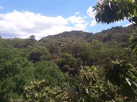 🚩风景🚩主播照片