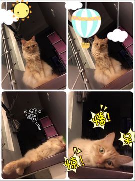 77a米苒主播照片