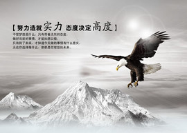 信仰💕为你守候主播照片