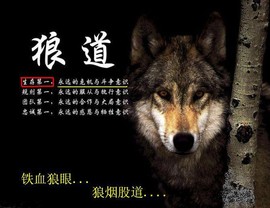 信仰💕为你守候主播照片