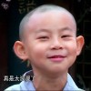 也许、是天意