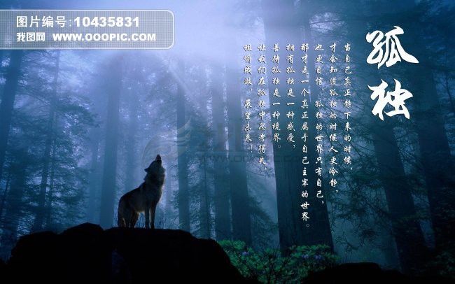 狼性不灭的主播照片