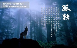 狼性不灭主播照片